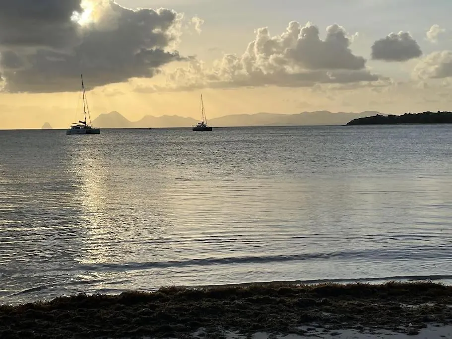 Au Coeur Du Bourg De Sainte Anne Daire Martinik